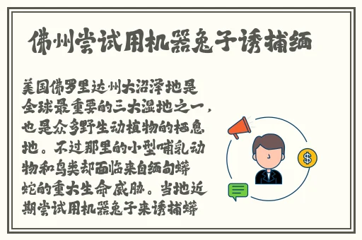 可以上色的软件